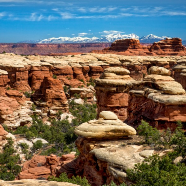 one day in canyonlands new 09