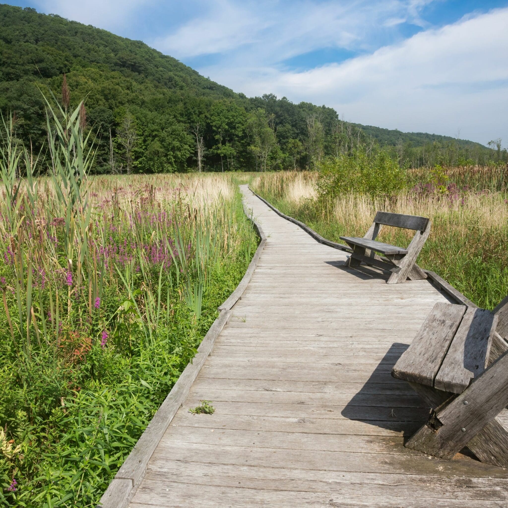 Best Hikes Near NYC