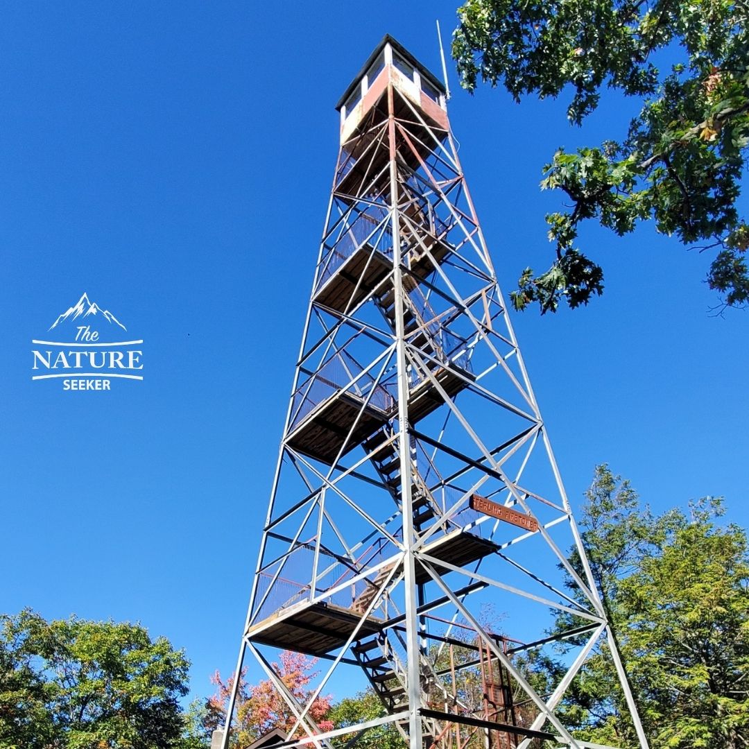sterling forest fire tower day hike near new york city