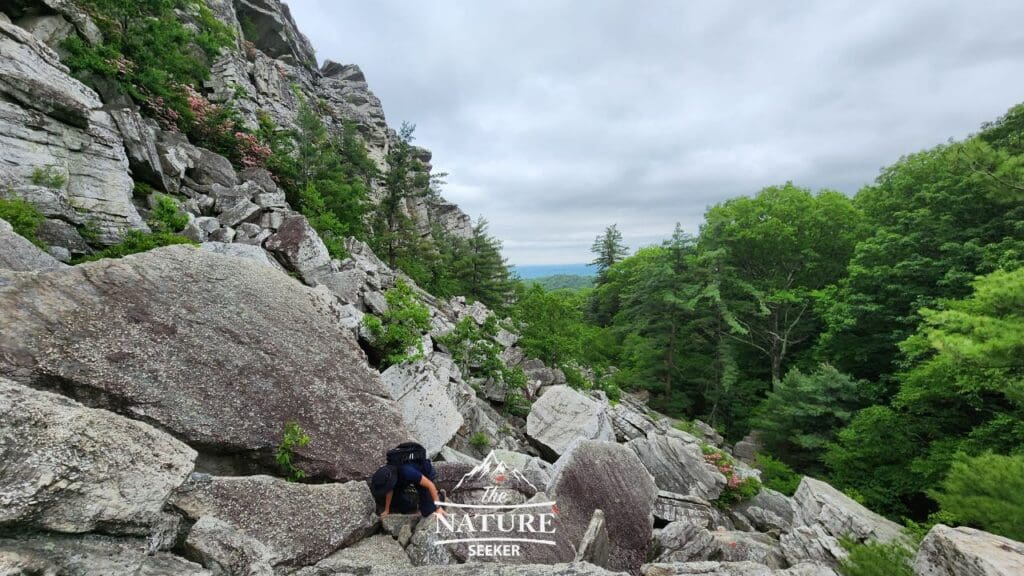 the best hikes near nyc bonticou crag trail photo