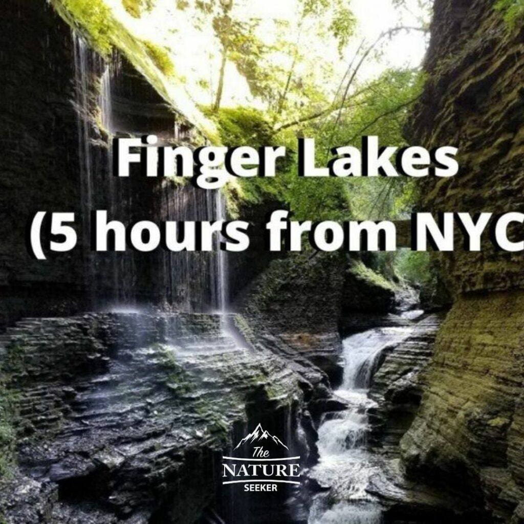 watkins glen and finger lakes hikes in new york