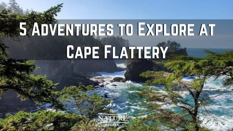 5 Adventures to Explore at Cape Flattery