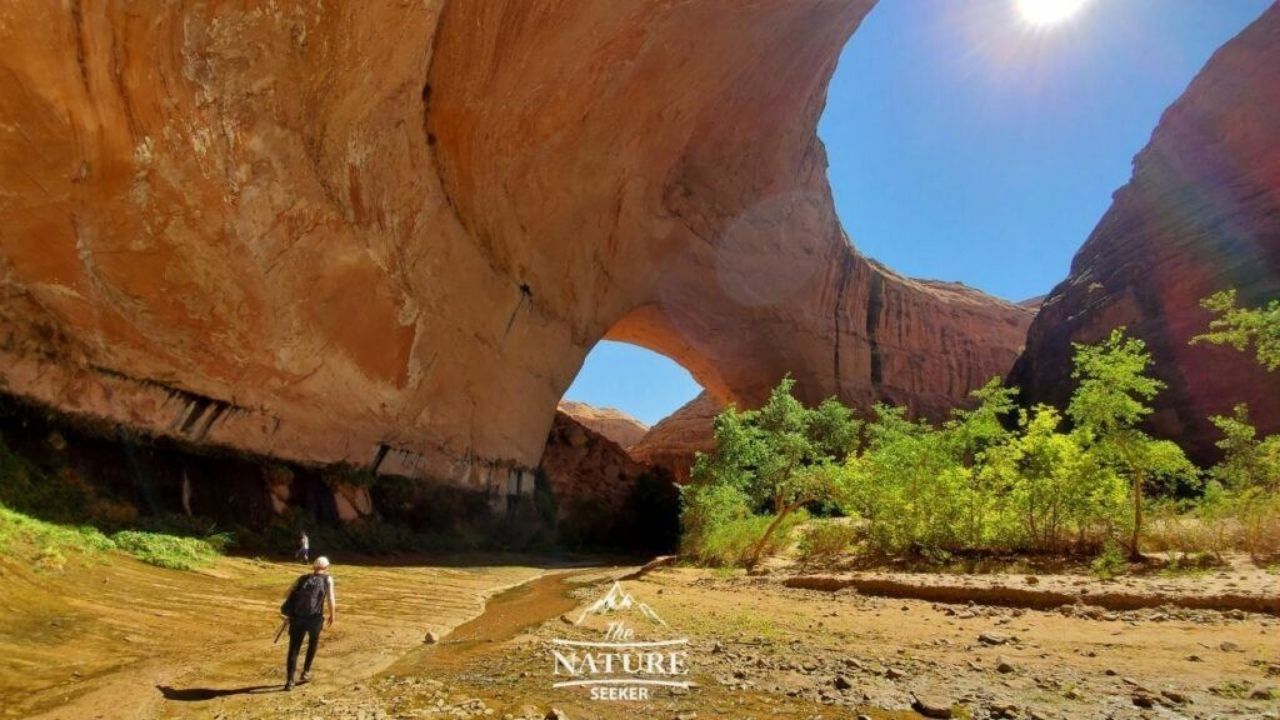 utah mighty 5 national parks road trip side trip coyote gulch