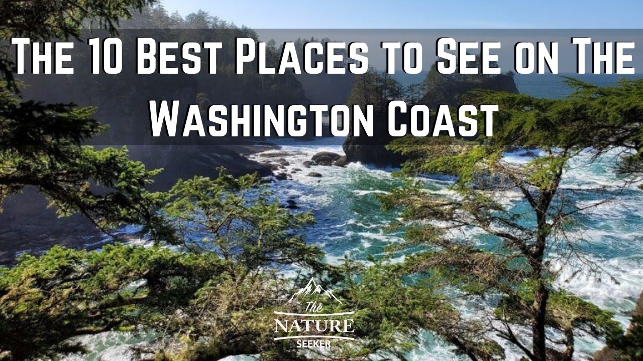 best places to see on the washington coast 02