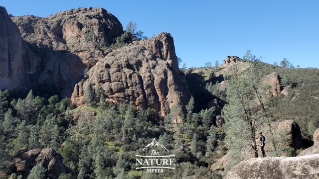 best places to visit in california pinnacles national park 04