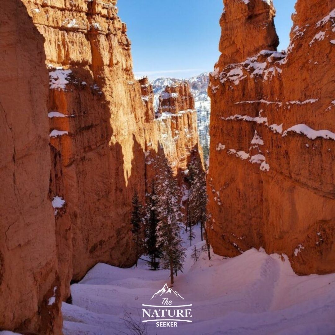 bryce canyon national park navajo loop trail 03