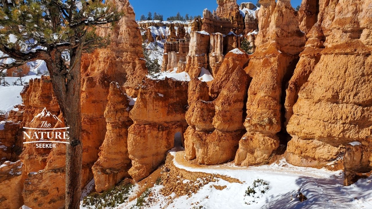 bryce canyon national park queens garden trail 02