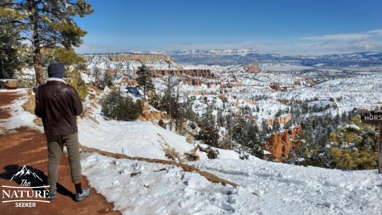 bryce canyon national park sunrise point overlook 05