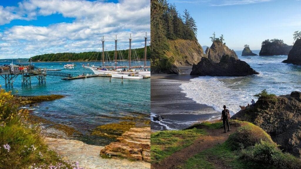 maine coast vs oregon coast 3