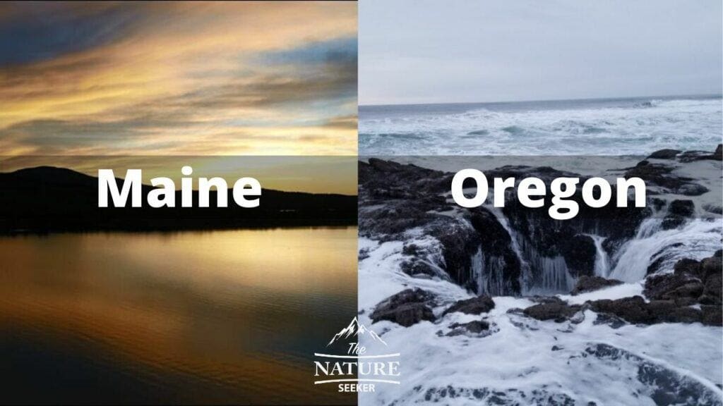 maine coast vs oregon coast comparison 3