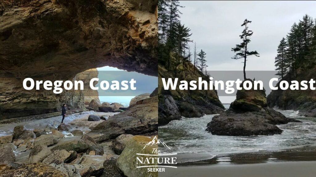 oregon coast vs washington coast 3