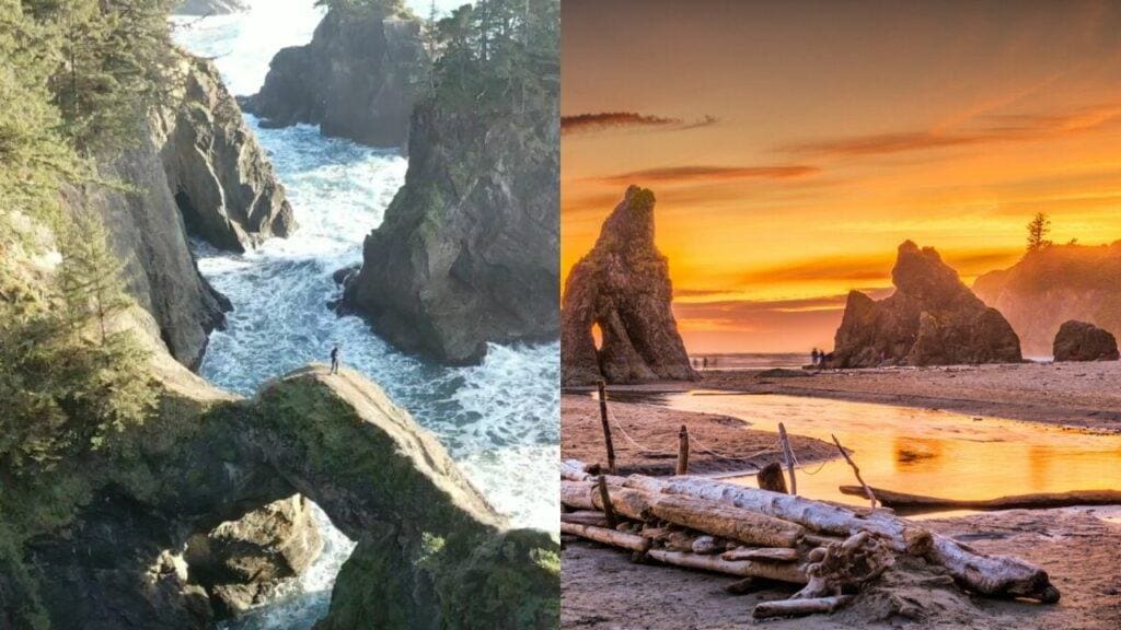 oregon coast vs washington coast comparison