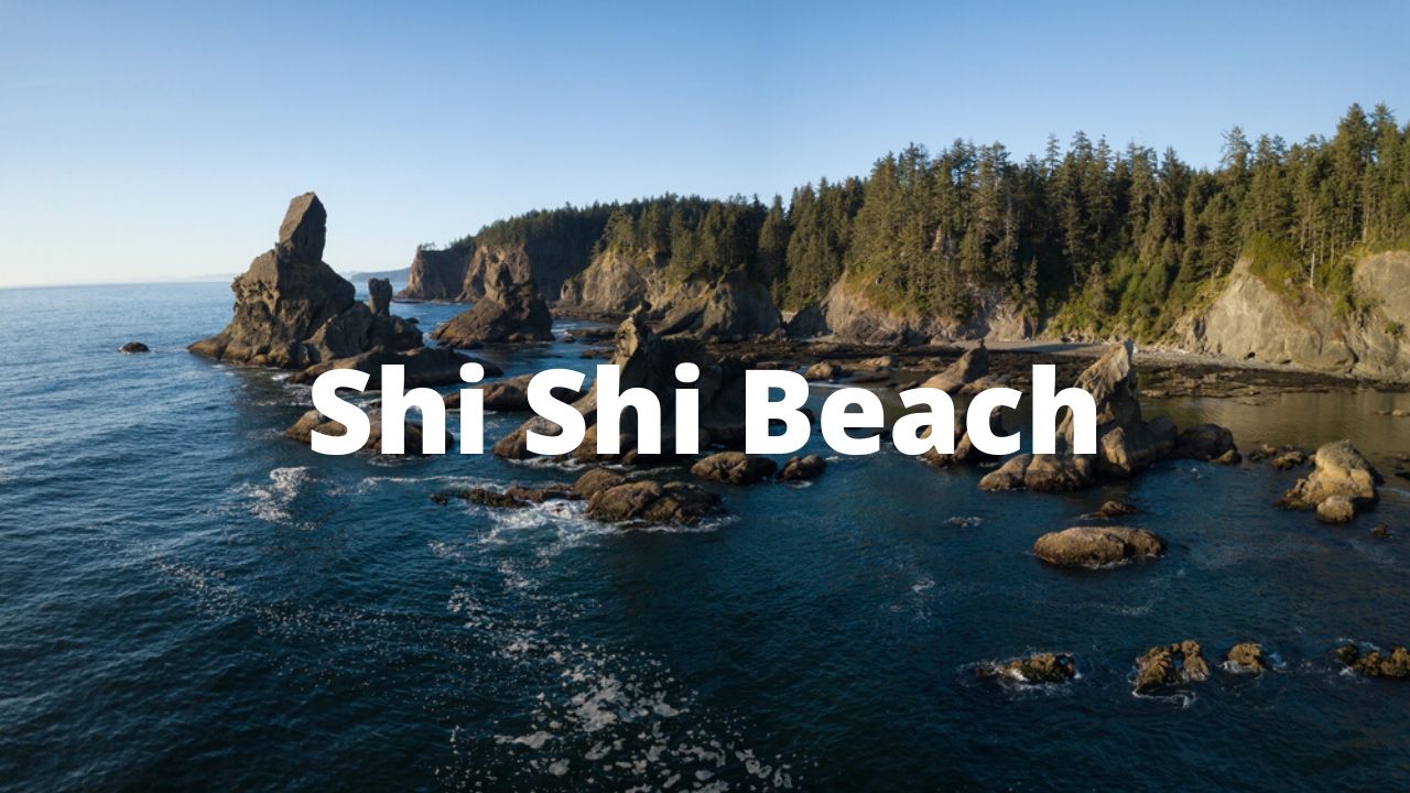 shi shi beach washington coast
