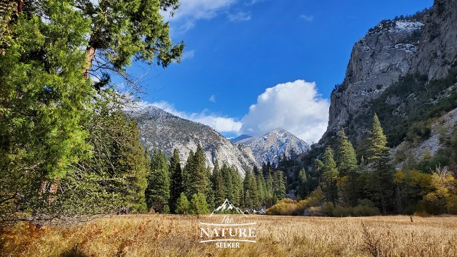 the best places to visit in california kings canyon national park 01