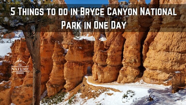 5 Things to do in Bryce Canyon National Park For Newcomers