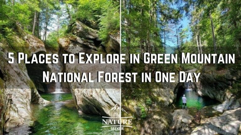 8 Awesome Things to do in Green Mountain National Forest