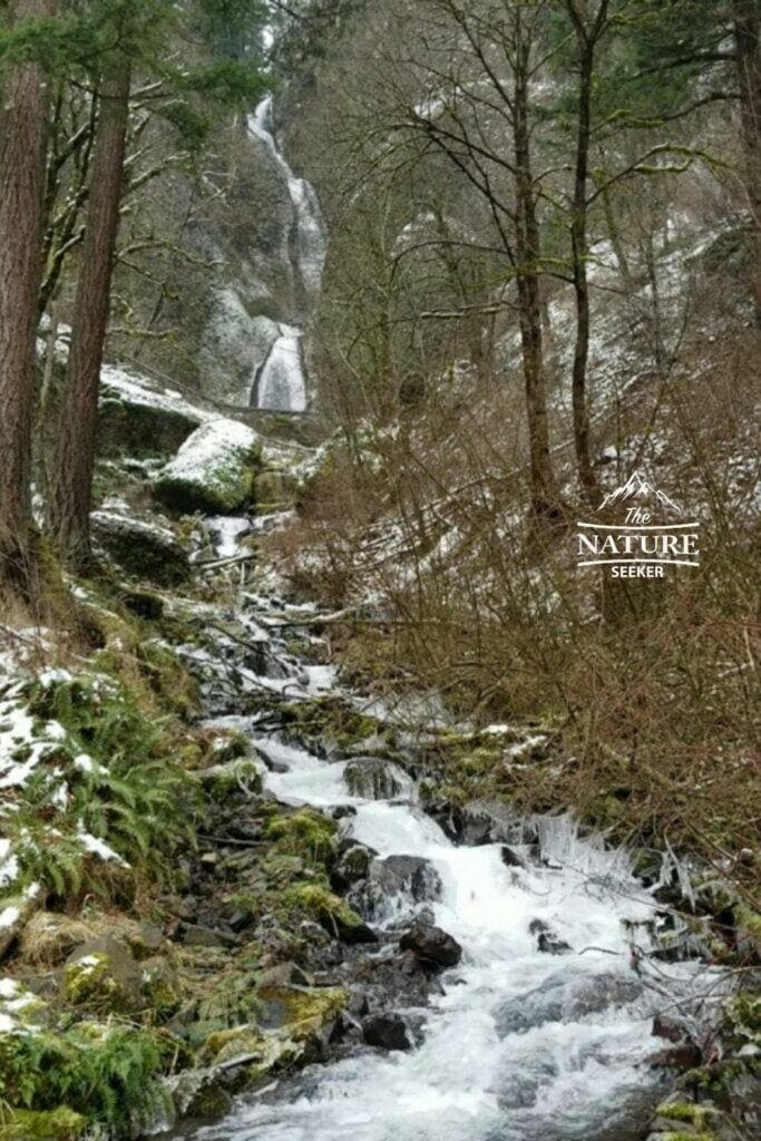 Wakheena Falls at columbia river gorge photo