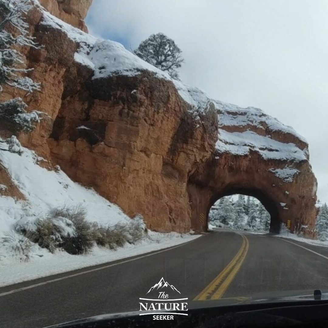 bryce canyon national park scenic drive in utah