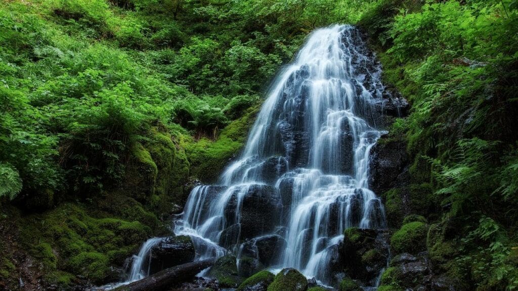 fairy falls at columbia river gorge 01