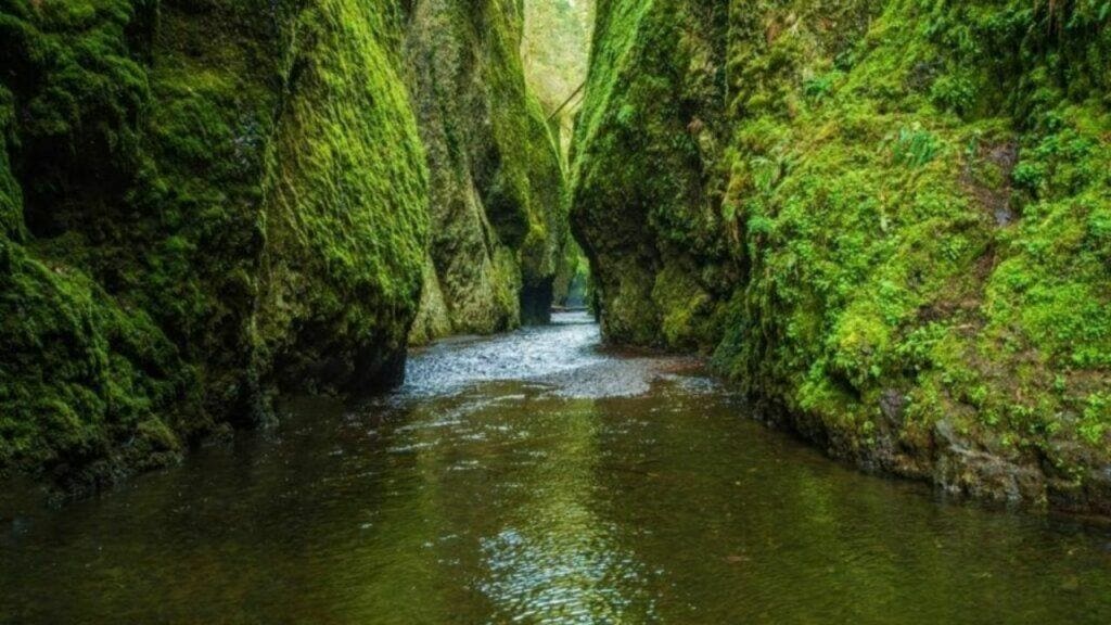 oneonta gorge at columbia river gorge photo 01