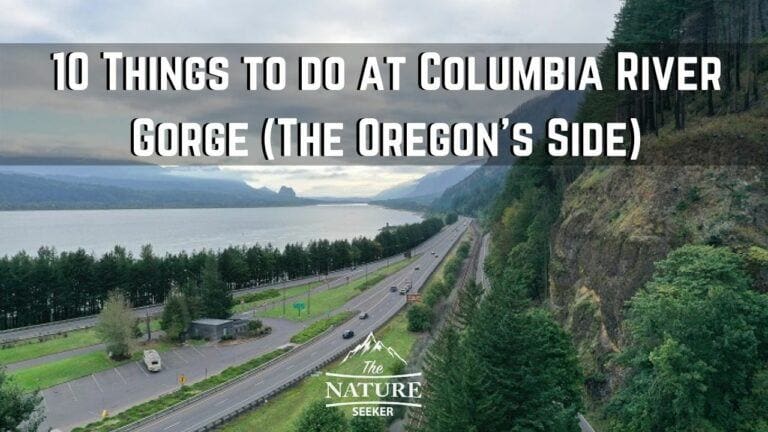 10 Best Things to do in Columbia River Gorge Oregon