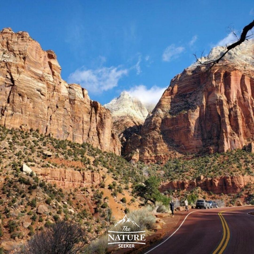 zion national park scenic drive in utah 09