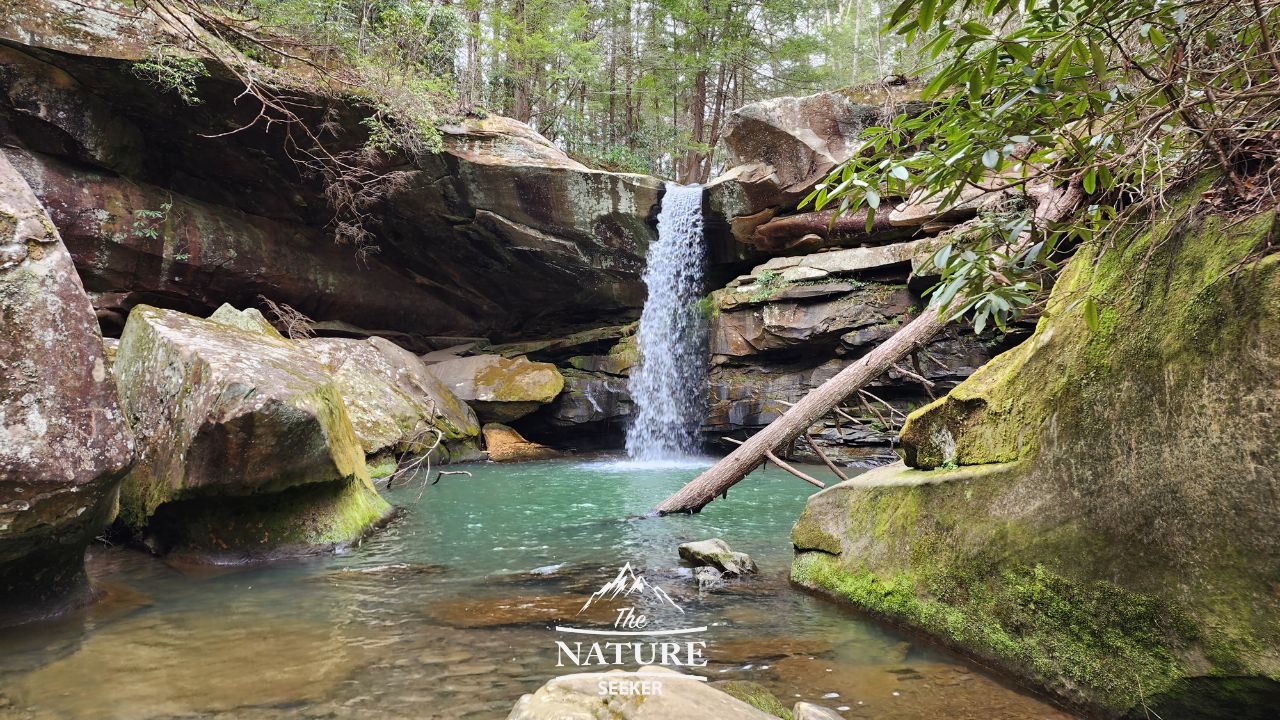 beach waterfall flat lick falls 03