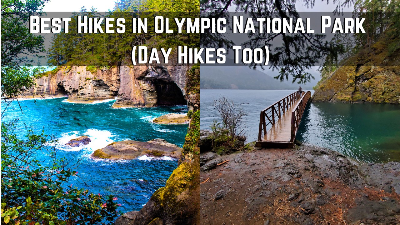 best day hikes in olympic national park new 07