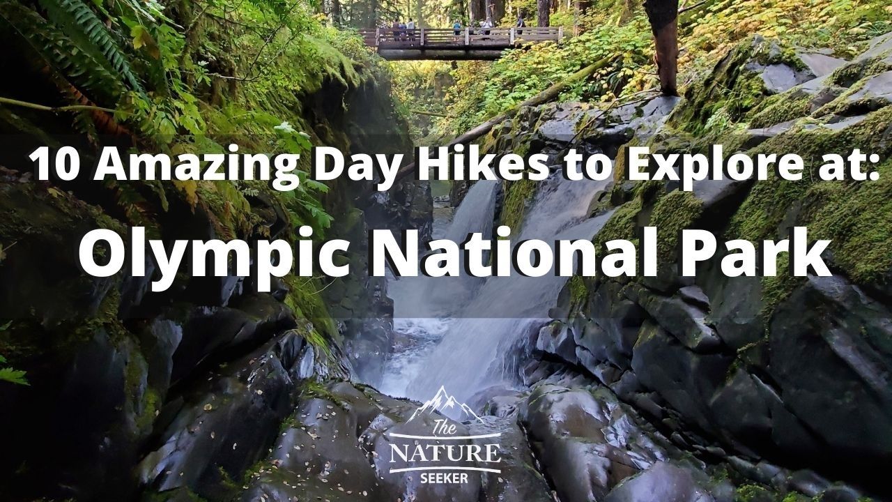 Olympic National Park Day Hikes