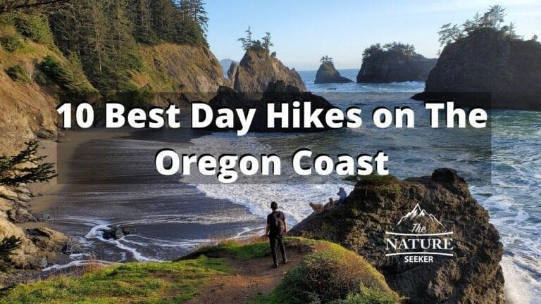 The 11 Best Oregon Coast Hikes to Try
