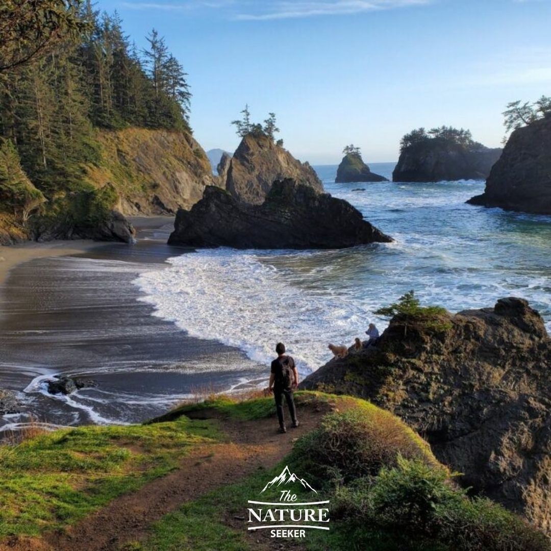 secret beach trail oregon coast day hike 05