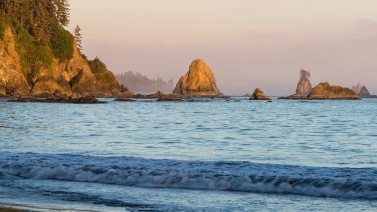 16 Best Hikes in Olympic National Park You Have to go to!