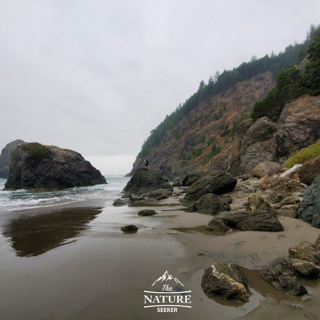 whaleshead beach oregon coast day hike 03