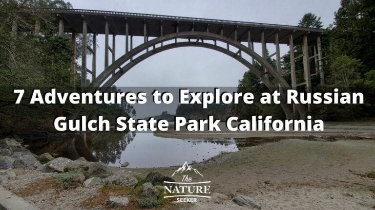 7 Adventures to Try at Russian Gulch State Park California