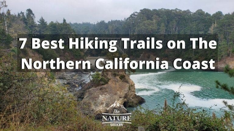 The 7 Best Hiking Trails on The Northern California Coast