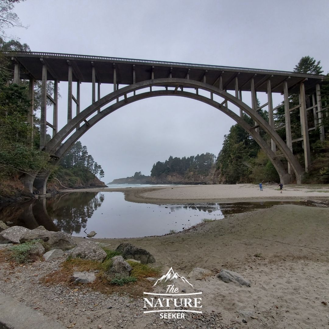 russian gulch state park bridge and trail