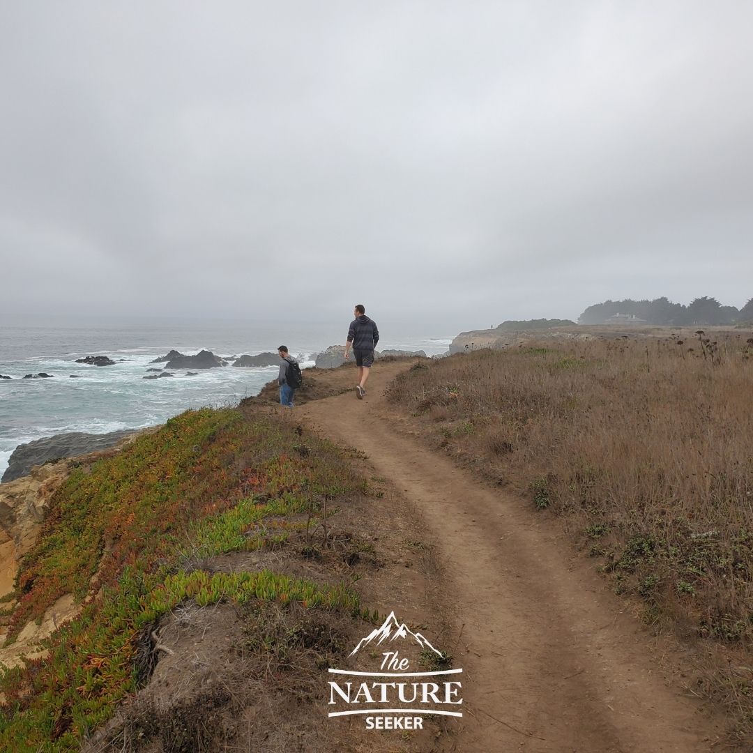 russian gulch state park headlands trail