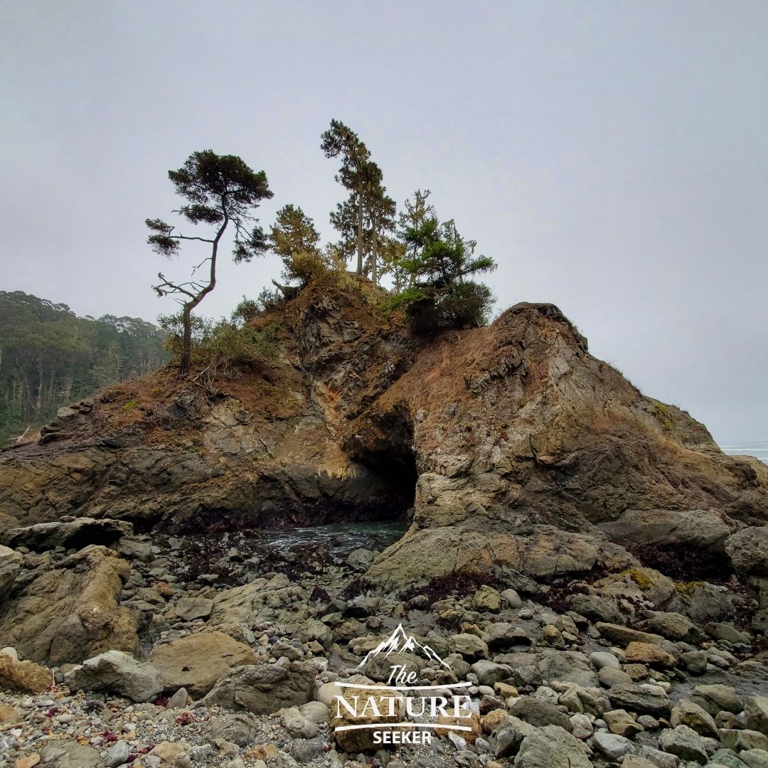 russian gulch state park sea caves