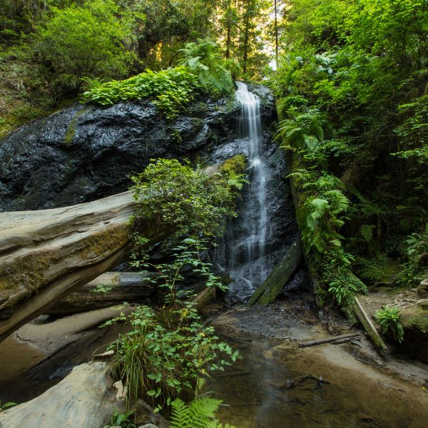 russian gulch waterfall fern canyon trail 02