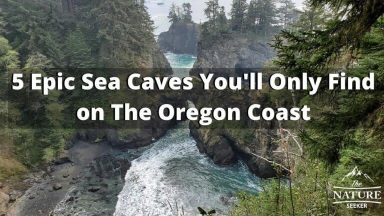5 Stunning Sea Cave Spots to Explore on The Oregon Coast