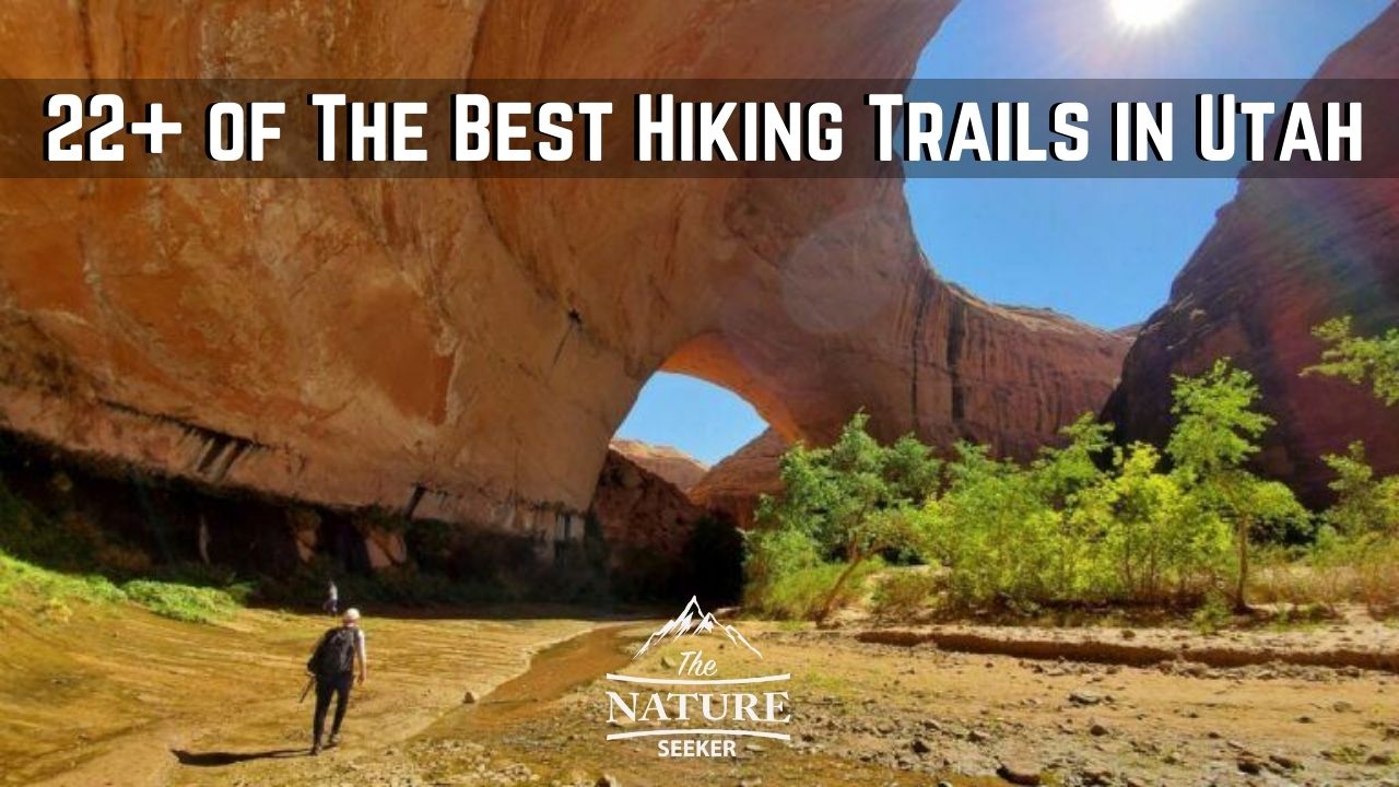 22 best hiking trails to check out in utah