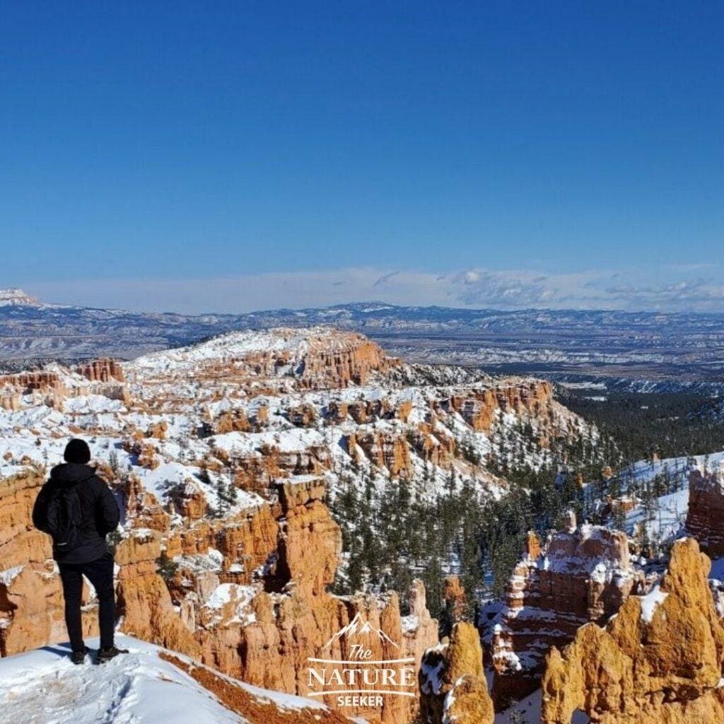 REI Co Op Stormhenge 850 Down Jacket bryce canyon