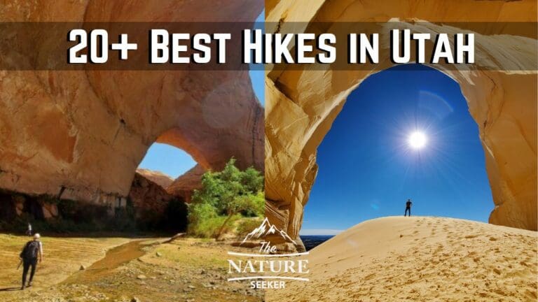 25 Best Hikes in Utah For Beginners And Above Levels