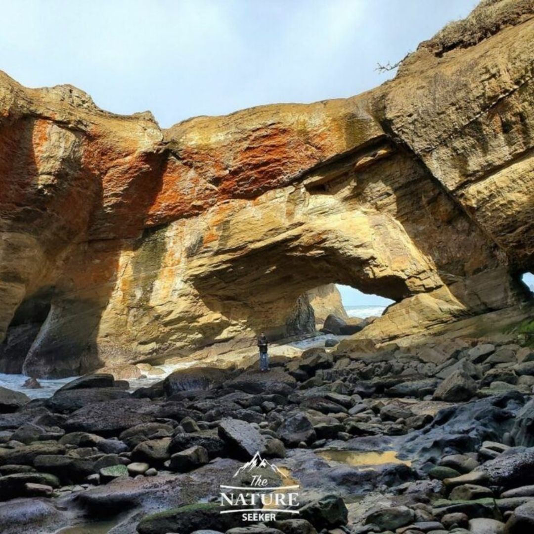 devils punchbowl sea caves oregon coast 05