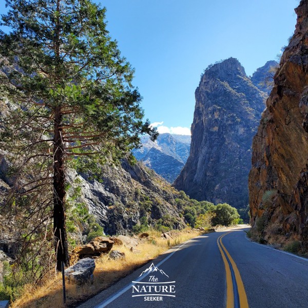 kings canyon southern california scenic drive