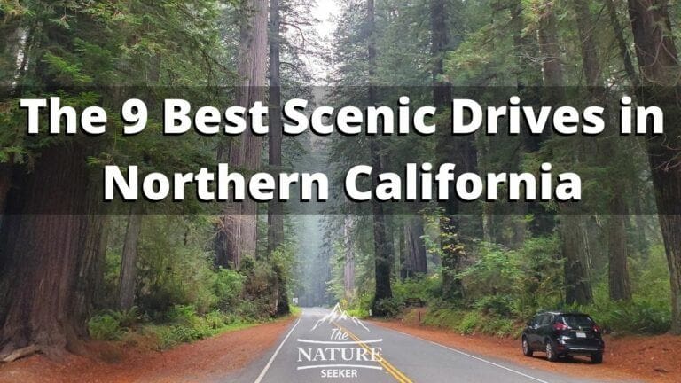The 9 Best Scenic Drives in Northern California