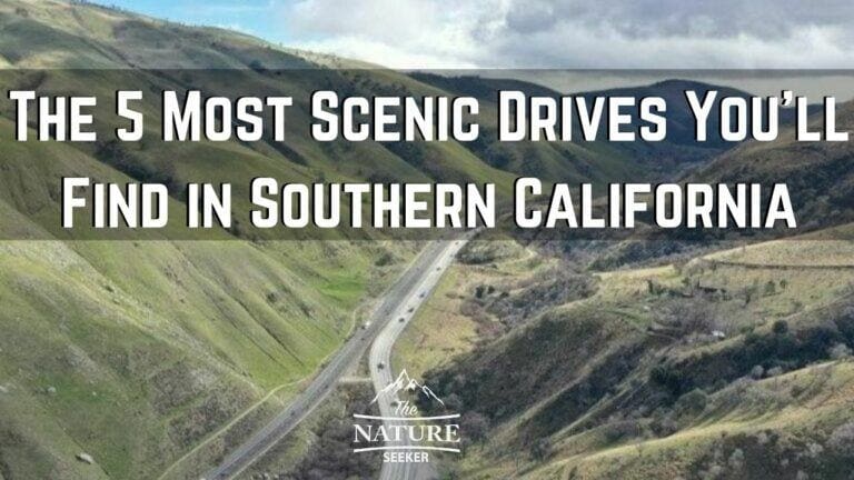 The 8 Best Scenic Drives in Southern California