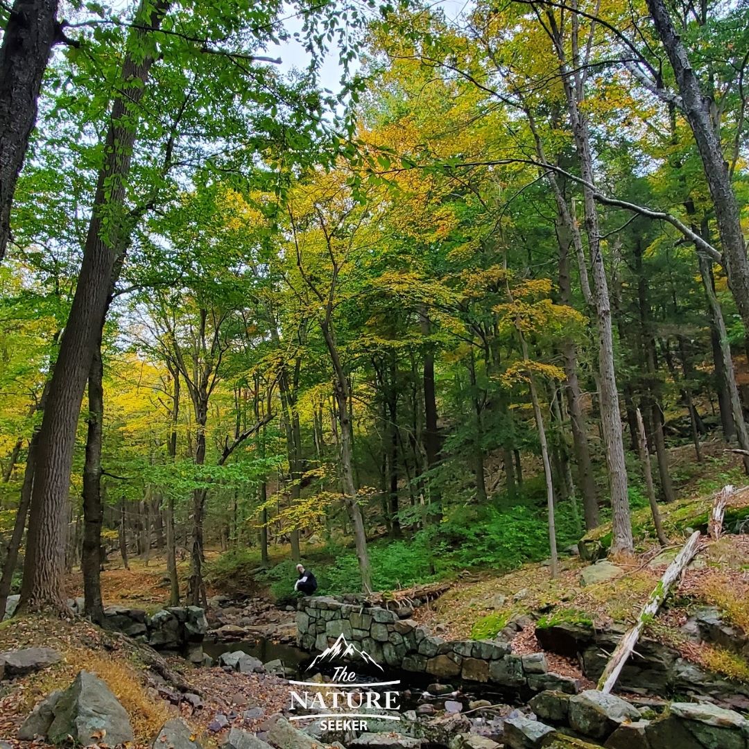 harriman state park fall picture 04