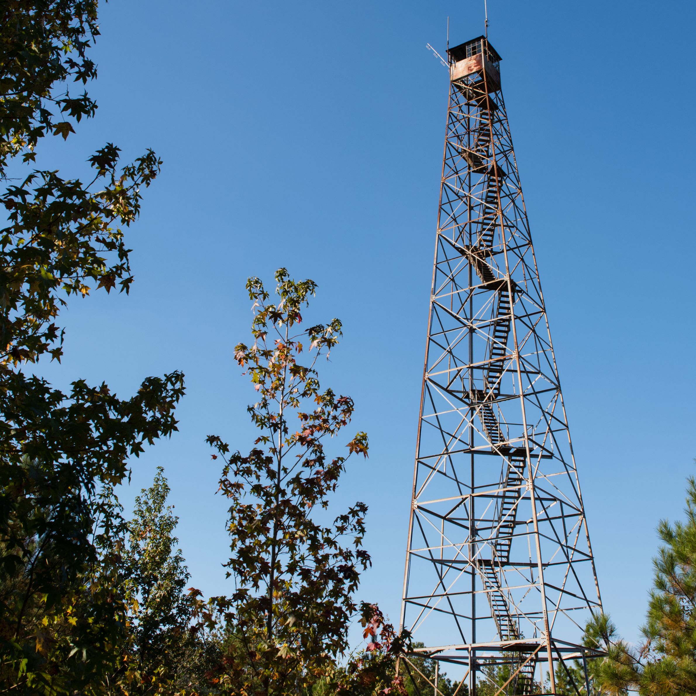 harriman state park fire tower trail 01