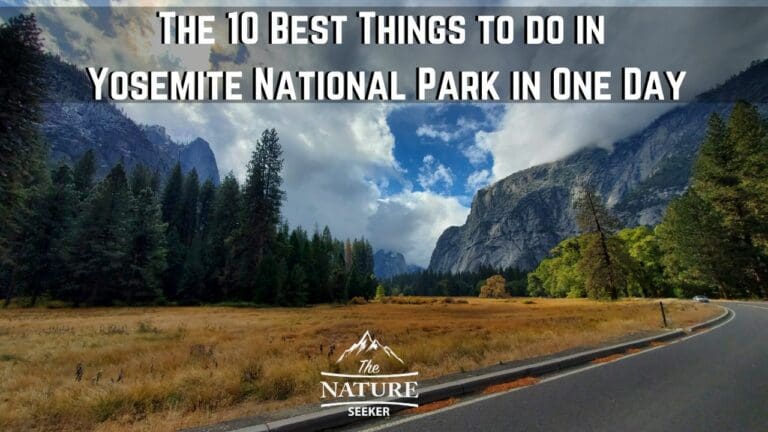 10 Best Things to do in Yosemite National Park For Newcomers